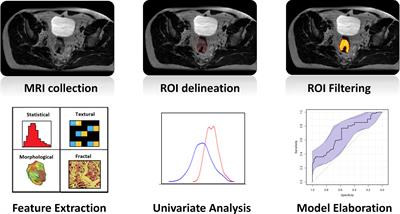 Fractal-Based Radiomic Approach to Tailor the Chemotherapy Treatment in Rectal Cancer: A Generating Hypothesis Study